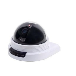 TELECAMERA SORVEGLIANZA DOME IP (H9602-42S-IR)